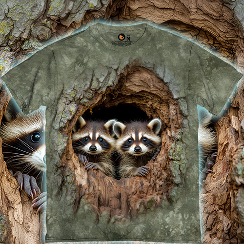 Загадкові Єноти