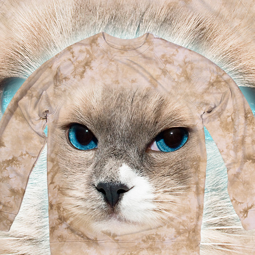 Blue Eyes Cat