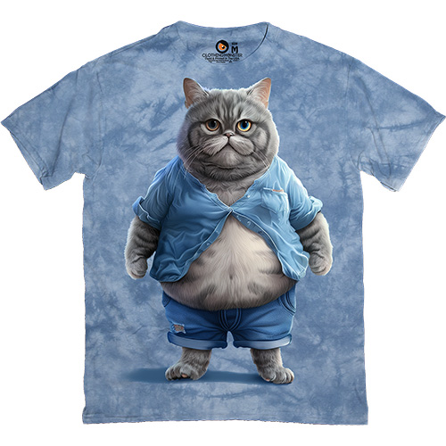 Cat with Belly in Blue