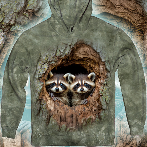 Загадкові Єноти