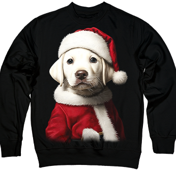 Санта-Щасливчик