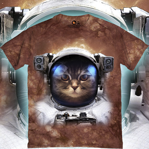 AstroCat - Кот