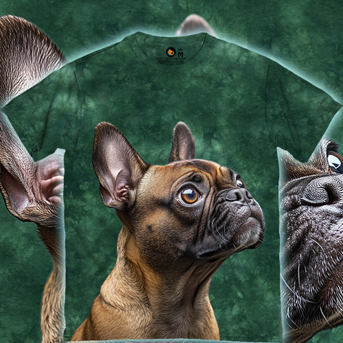 Погляд Француза