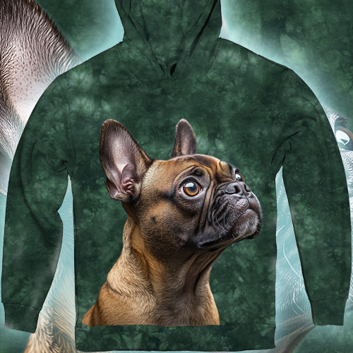 Погляд Француза