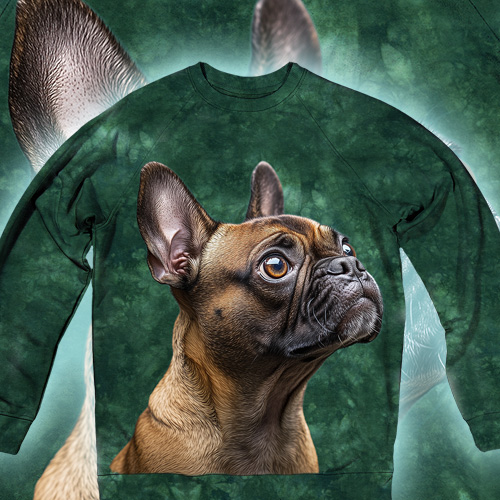 Погляд Француза